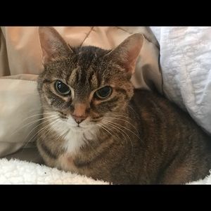 Meet your Posher, Lee ann